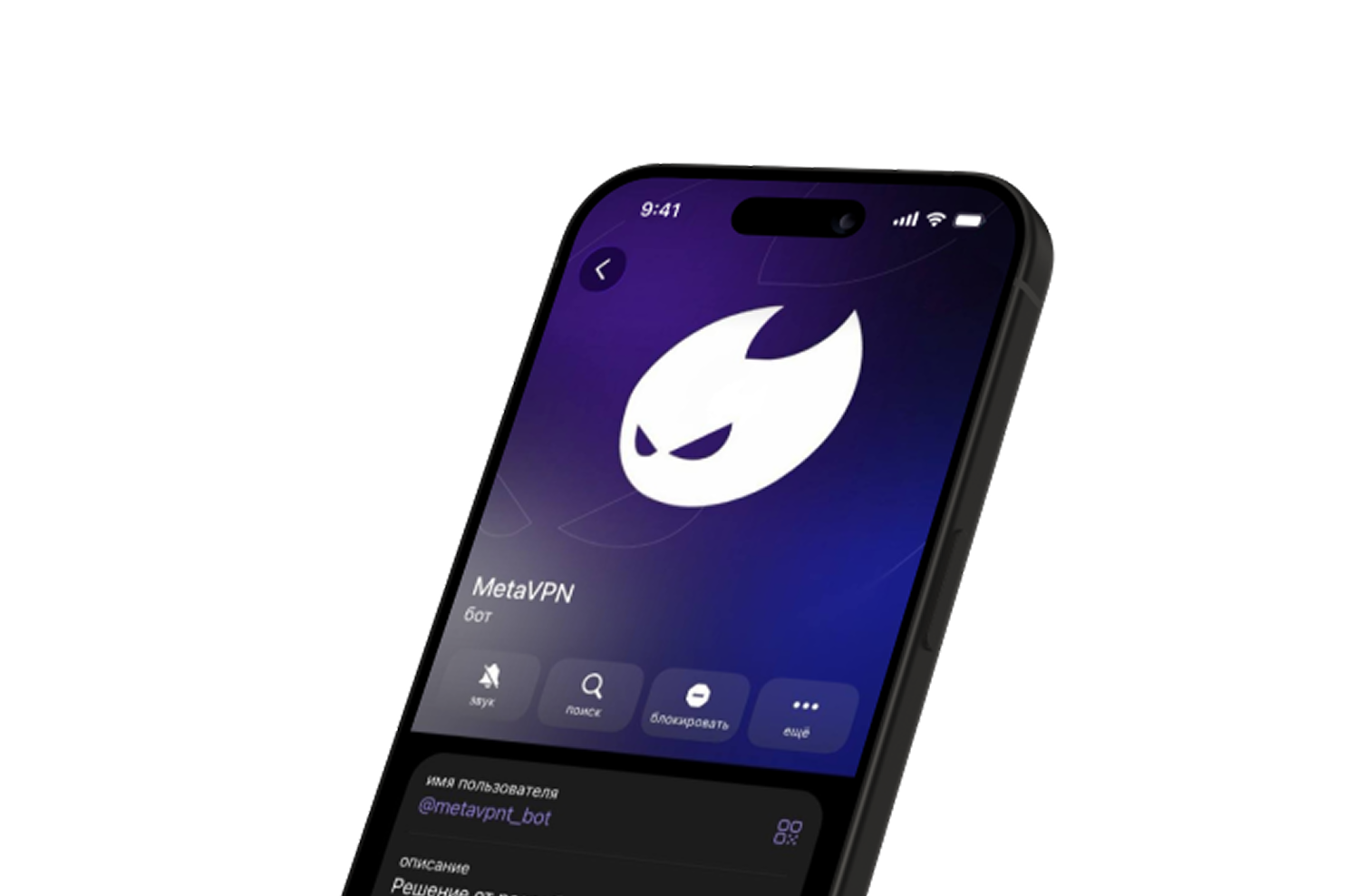 MetaVPN на iPhone